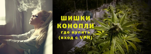 дживик Новодвинск