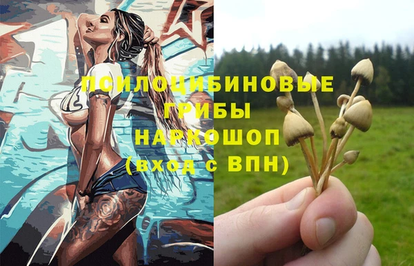 mdpv Новокубанск