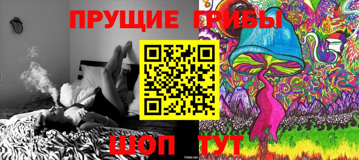 Псилоцибиновые грибы мухоморы  Галлюциногенные грибы Cubensis  где купить наркотик  Кохма 