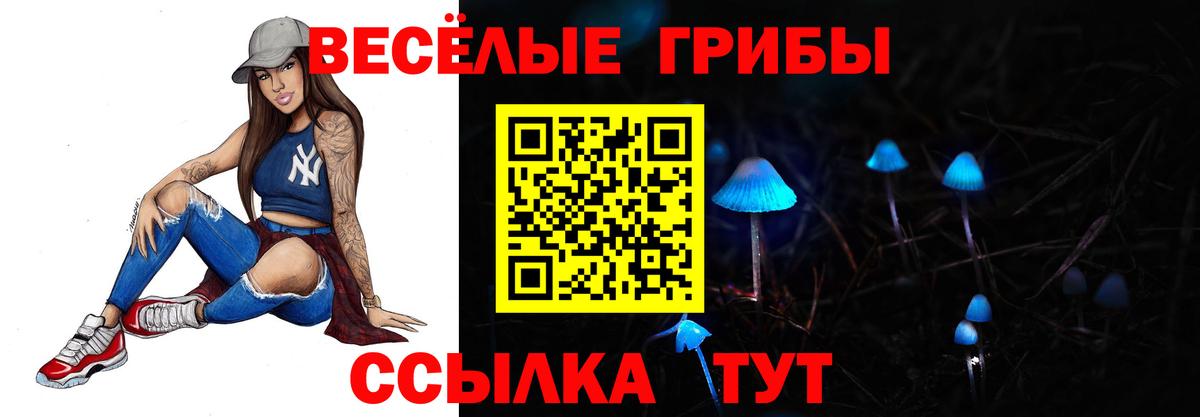 Кохма  Галлюциногенные грибы Psilocybe  Вход с VPN  Галлюциногенные грибы ЛСД 