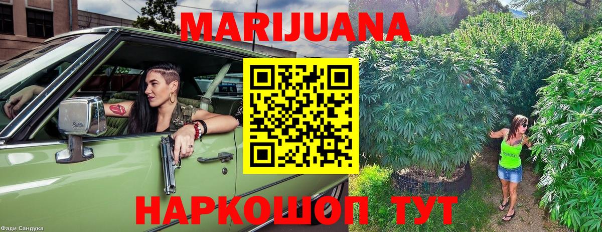 Бошки марихуана MAZAR  Кохма  Марихуана индика  МАРИХУАНА планчик  Канабис семена 