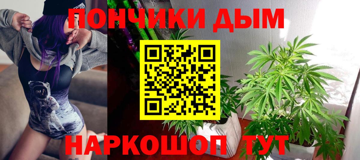 Конопля White Widow  Марихуана конопля  Кохма  Вход с VPN  МАРИХУАНА сатива  Каннабис план 